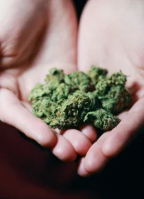 pexels-sharon-mccutcheon-3676962